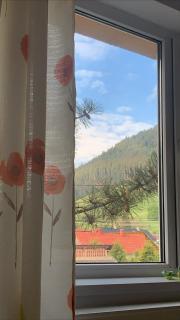 Good Vibes Apartment - Câmpulung Moldovenesc - 2