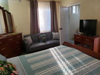 Irie HideAway - Private Studio in Gated Community --Caribbean Estates, Portmore - Goshen Pen - 8