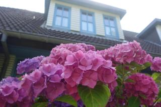 Meerzeit - Sankt Peter-Ording - 9