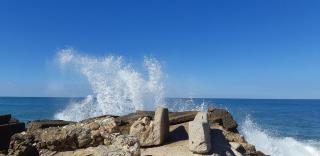 Etis garden seafront - 7