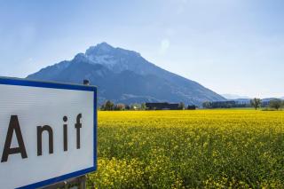 Hotel Kaiserhof - Anif - 1