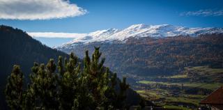 Alpenapart Hochzeiger - Jerzens - 3