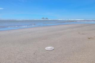 Whale Watcher Condo 2 - Meredith Lodging - 2