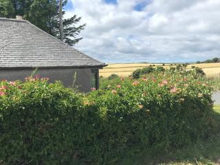 Crossgates, Rosehearty - 2