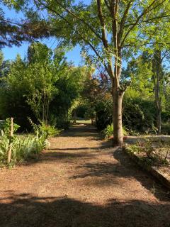 Le Cocon de Curson Gîte le Cocon - Chanos-Curson - 3