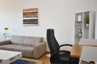 Big 1BR apartment in the center - Mill 355 - 2