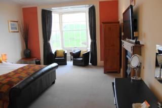 The Olive Branch - Ilfracombe - 8