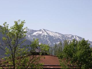 Gästehaus Staller inkl. Chiemgaukarte - Ruhpolding - 3