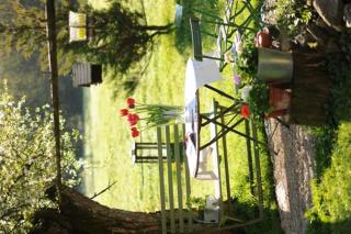 Hansenbauernhof inkl. Chiemgaukarte - Ruhpolding - 6