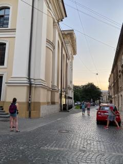 В центрі біля Ратуші вулиця Площа Ринок 11 - Lviv - 1
