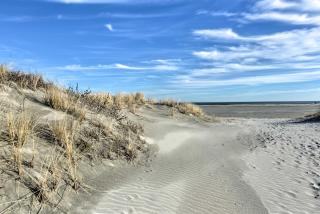 Remodeled Condo Right on Wildwood Crest Beach! - Wildwood Crest - 8