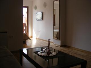 Studio Montana - Poiana Brasov - 0