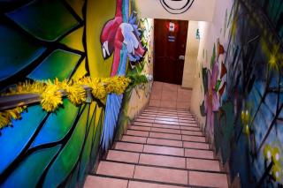 Passion Hostel - Barranco - 8