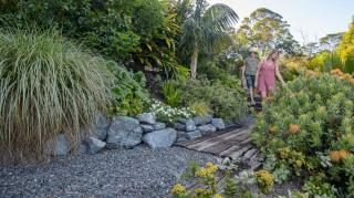 Stella the Excella - 9