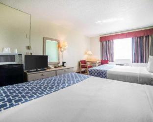 Econo Lodge Fallon Naval Air Station Area - Fallon - 5