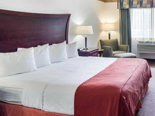 Quality Inn Midland South - Midland - 7