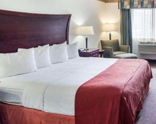 Quality Inn Midland South - Midland - 5
