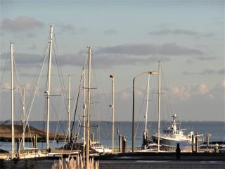 Familie-Beachvilla Ooster-schel-de - 4