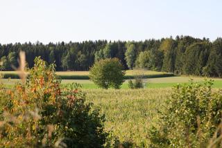 Birkenhäusle Trautmannshofen - Lauterhofen - 6