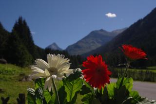 Apartment Fernerkogel - 7