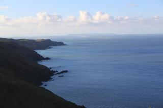 The Olive Branch - Ilfracombe - 2
