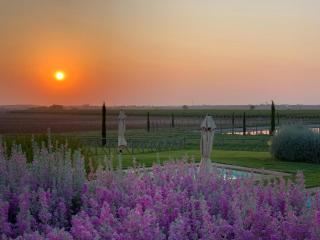 Agriturismo Piani Della Marina - 9