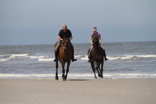 Villa Marina 20 - Weitblick aufs Meer - Wangerooge - 3
