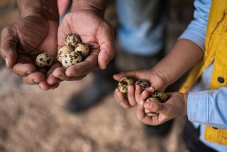 Hotel de Campo Villa de Ada - 2