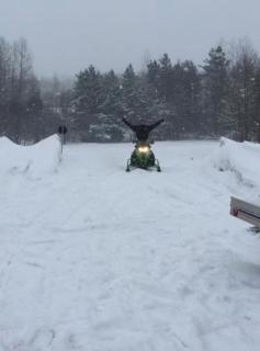 red maple inn and suites - 8