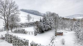 Leśny Dwór Bieszczady - 1