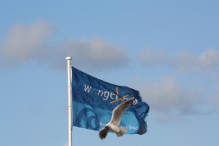 Key West 5 - Wangerooge - 4