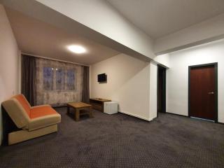 Petrosani Camere de Inchiriat - Hotel Petroshani srl - Petroşani - 2