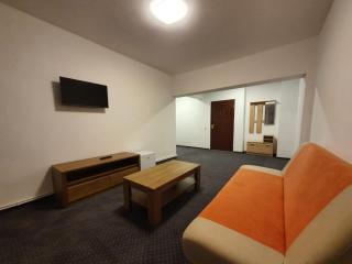 Petrosani Camere de Inchiriat - Hotel Petroshani srl - Petroşani - 8