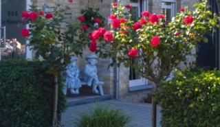 B&B De Watering - Lommel - 7