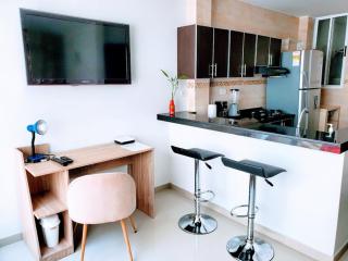 Apartaestudio Arboleda del Ingenio - 1