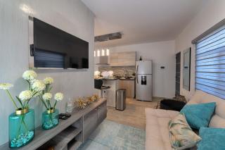 Departamento amueblado Junior Suite - Aguascalientes - 0
