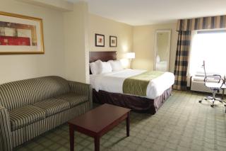 Comfort Inn Southwest Fwy at Westpark - 2