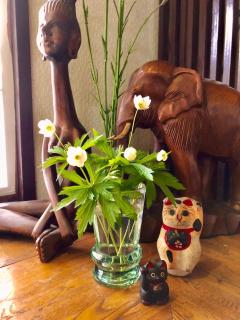 Umeoka Ryokan - Nagano - 2