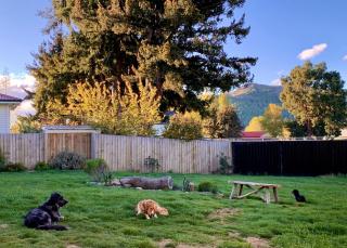 Parkside Holiday Home - Fully Fenced Garden - Lake Tekapo - 4
