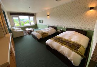 Auberge Mermaid - Fujikawaguchiko - 5