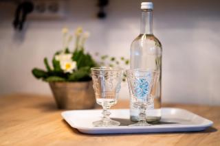 FeWo Paulsen Schobüll - Halebüll - 5