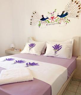 Flora Apartments - Drios - 6
