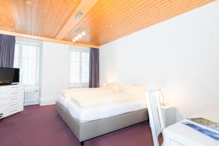 Hotel Landhaus Adler - Frutigen - 4