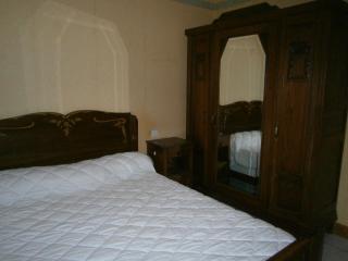 MAISON EN BOISCHAUT SUD - Parnac - 4