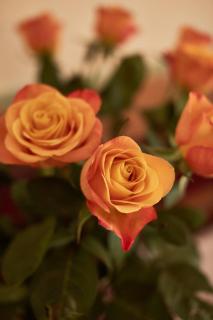 Hotel Vila Emei - Maribor - 7
