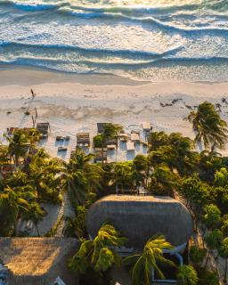 NEST Tulum - Tulum - 9