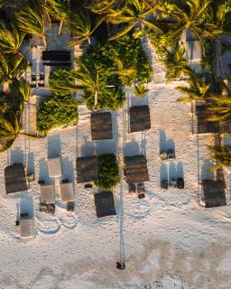 NEST Tulum - Tulum - 1