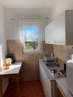 Apartment in Lukovo Sugarje 27036 - 9