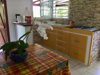 chez Jocelyne prés des sources chaudes - 1