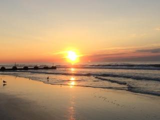 Acacia Beachfront Resort - 4